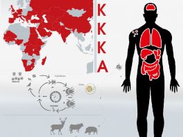 Kırım Kongo Kanamalı Ateşi (KKKA) Acil Yaklaşım