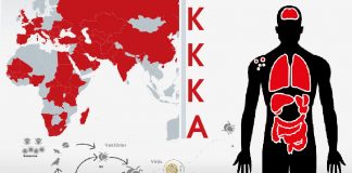 Kırım Kongo Kanamalı Ateşi (KKKA) Acil Yaklaşım