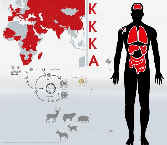 Kırım Kongo Kanamalı Ateşi (KKKA) Acil Yaklaşım