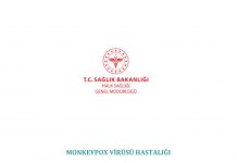 Maymun Çiçeği Rehberi