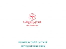 Maymun Çiçeği Rehberi