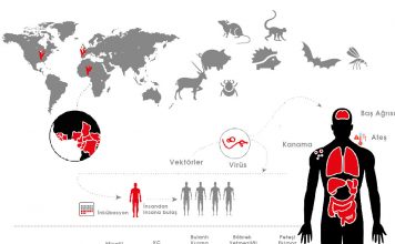Viral Kanamalı Ateş Yaklaşımı