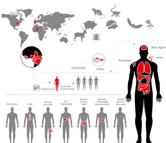 Viral Kanamalı Ateş Yaklaşımı