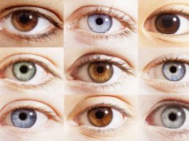 Göz Acillerine Yaklaşım