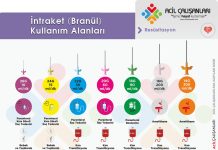 Periferik Damar Yolu Açılması