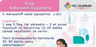 Adrenalin Nebül Uygulama