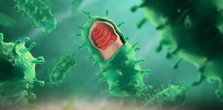 Kuduz Hastalığına Acil Servis Yaklaşımı