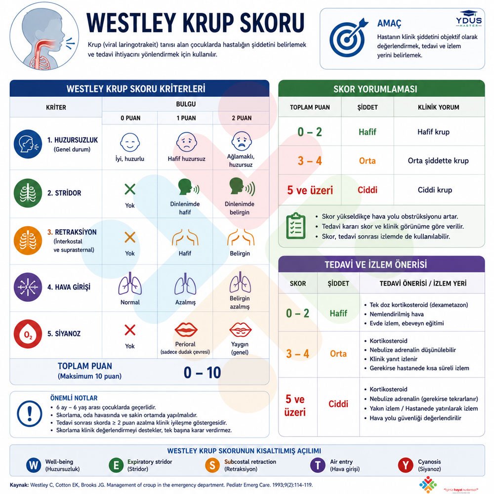 Westley Krup Skorlama Kriterleri