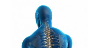 Lumbosakral Grafi Değerlendirme