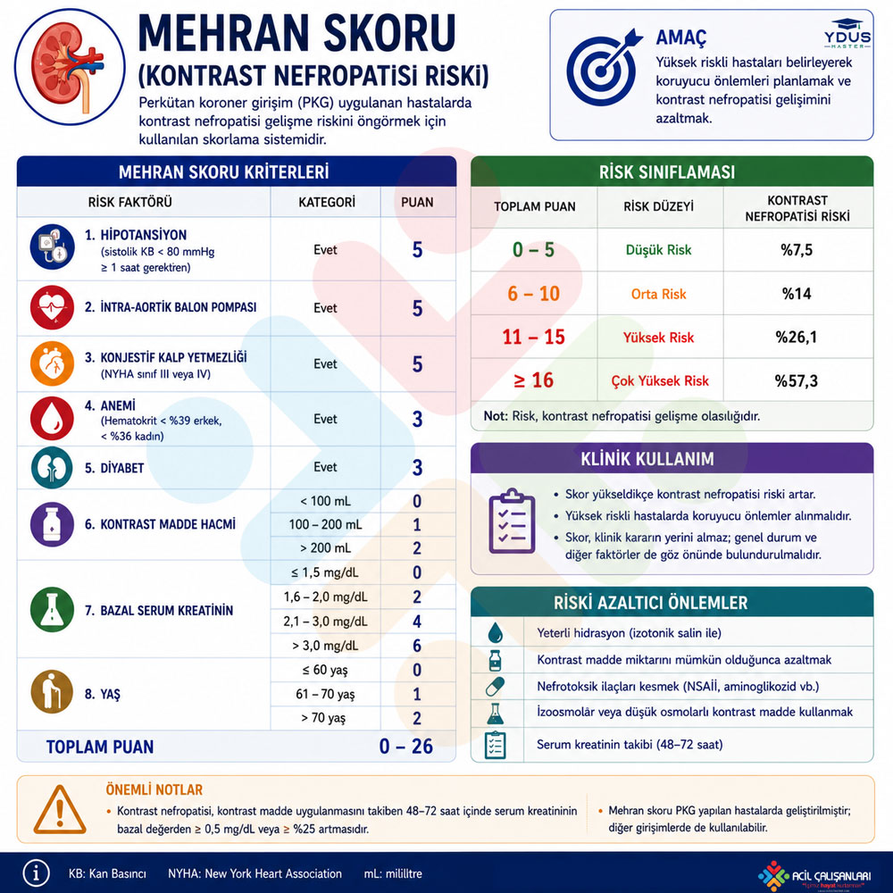 Mehran Skorlama Kriterleri