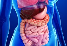 Gastrointestinal Kanal Perforasyonu Acil Yaklaşımı
