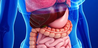 Gastrointestinal Kanal Perforasyonu Acil Yaklaşımı