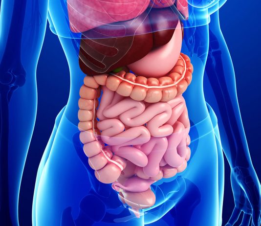 Gastrointestinal Kanal Perforasyonu Acil Yaklaşımı