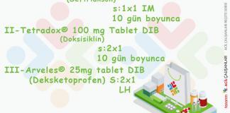 Epididimit Reçetesi