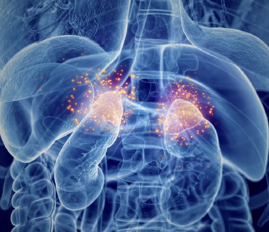 Adrenal Kriz Acil Servis Yönetimi