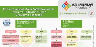 Deri ve Yumuşak Doku Enfeksiyonları Kılavuzu IDSA 2014 Önerileri
