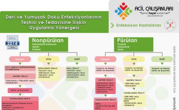Deri ve Yumuşak Doku Enfeksiyonları Kılavuzu IDSA 2014 Önerileri