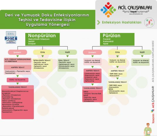 Deri ve Yumuşak Doku Enfeksiyonları Kılavuzu IDSA 2014 Önerileri