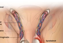 Epididimit Acil Yaklaşım