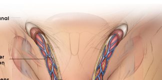 Epididimit Acil Yaklaşım