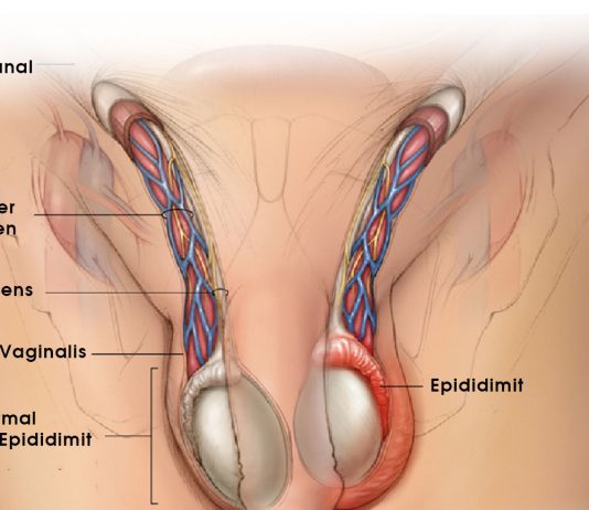 Epididimit Acil Yaklaşım