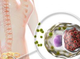 Klamidya Hastalığı