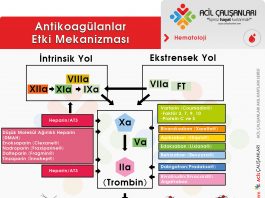 Atikoagülan İlaçlar