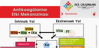 Atikoagülan İlaçlar