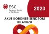 Akut Koroner Sendrom ESC 2023 Kılavuzunda Neler Değişti?