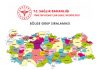 Bölge Hizmet Grupları