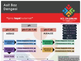 Kan Gazı Analizi Akıl Kartı