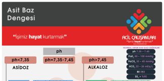 Kan Gazı Analizi Akıl Kartı