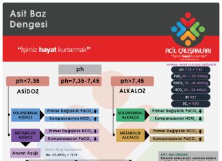 Kan Gazı Analizi Akıl Kartı
