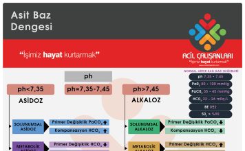 Kan Gazı Analizi