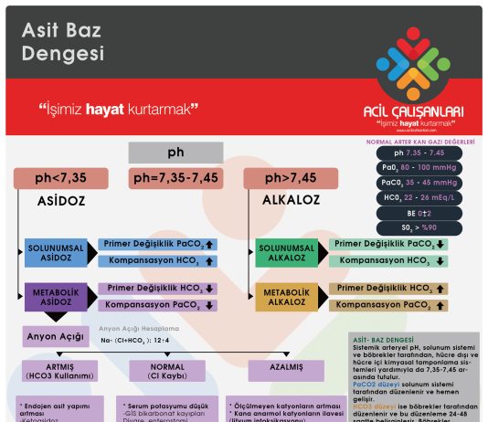Kan Gazı Analizi Akıl Kartı