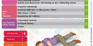 Kanada Senkop Risk Skorlaması