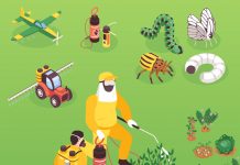 Piretrinler ve Piretroidlerle Zehirlenmelere Acil Yaklaşım