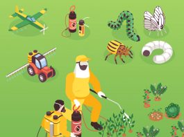 Piretrinler ve Piretroidlerle Zehirlenmelere Acil Yaklaşım