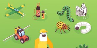 Piretrinler ve Piretroidlerle Zehirlenmelere Acil Yaklaşım