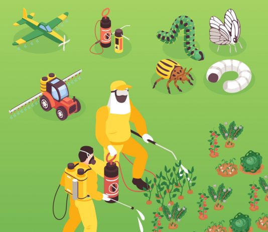 Piretrinler ve Piretroidlerle Zehirlenmelere Acil Yaklaşım