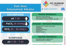 Solunumsal Alkaloz