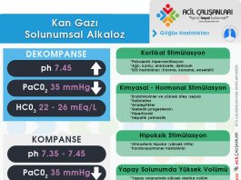 Solunumsal Alkaloz