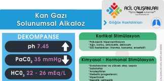 Solunumsal Alkaloz