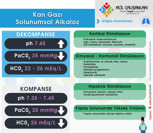 Solunumsal Alkaloz
