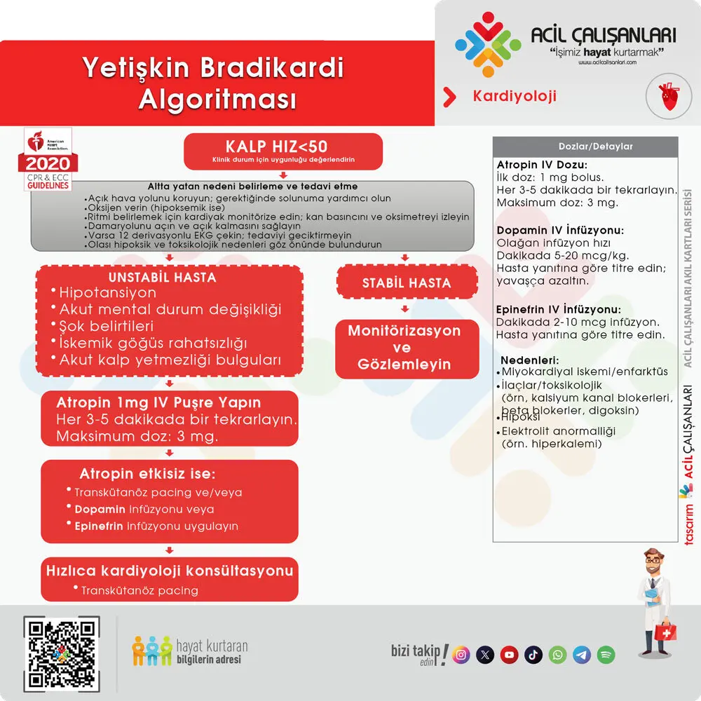 Yetişkin Bradikardi Algoritması