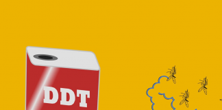 Klorlu Hidrokarbonlarla Zehirlenmeler