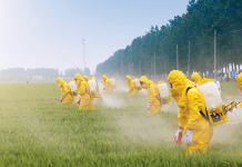 Pestisit (İnsektisit) Zehirlenmelerine Acil Yaklaşım