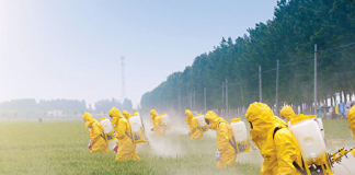 Pestisit (İnsektisit) Zehirlenmelerine Acil Yaklaşım