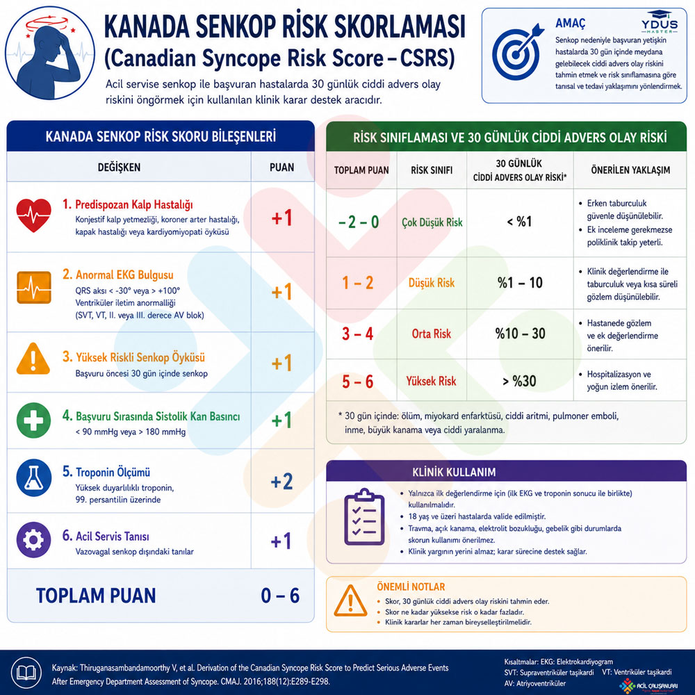 Kanada Senkop Risk Skoru Kriterleri