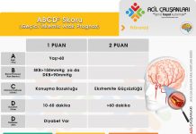 ABCD2 Skoru (TİA : GİA)